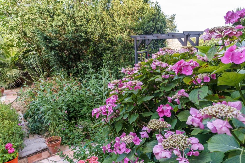 Mas Des Carnassoles Bed & Breakfast Bagian luar foto